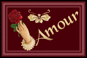amour